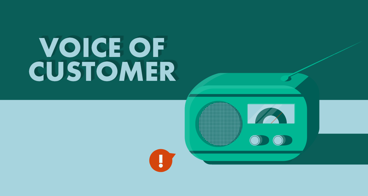 voice-of-customer